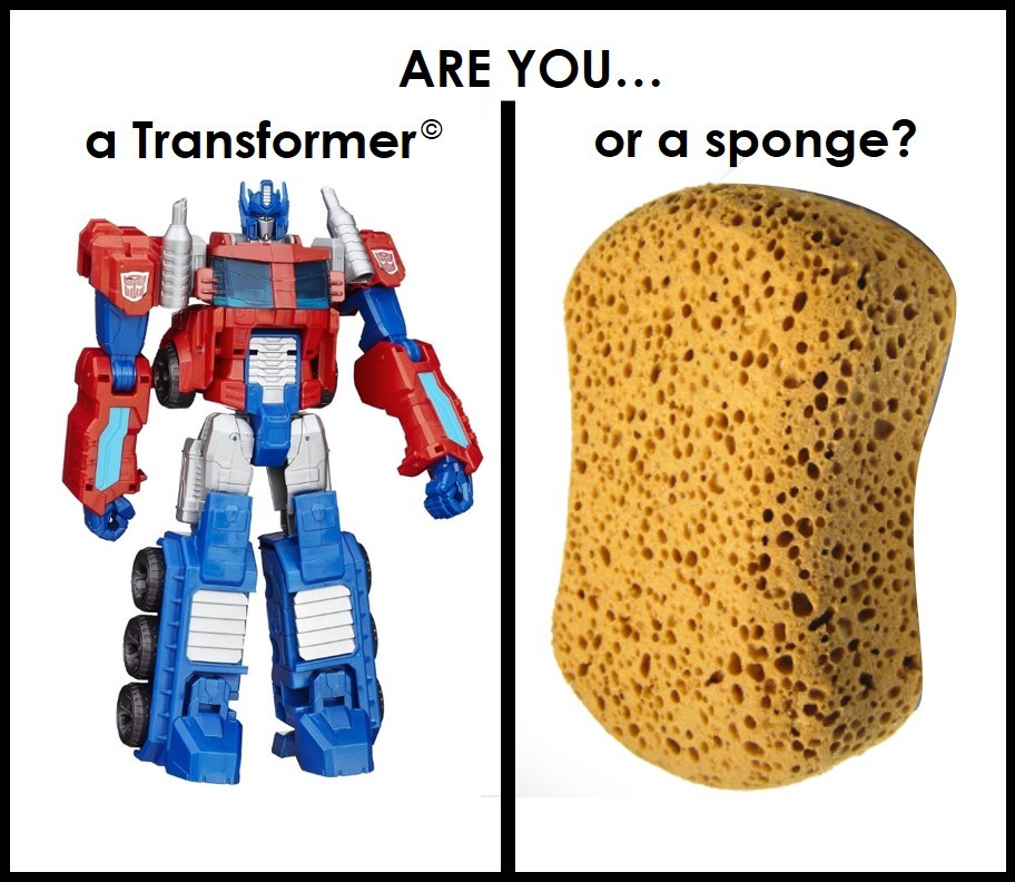 Are you a transformer or a sponge?