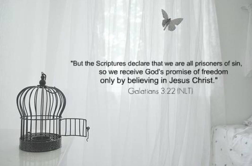 Day 5: ‘Breaking Free’ Bible Study observations
